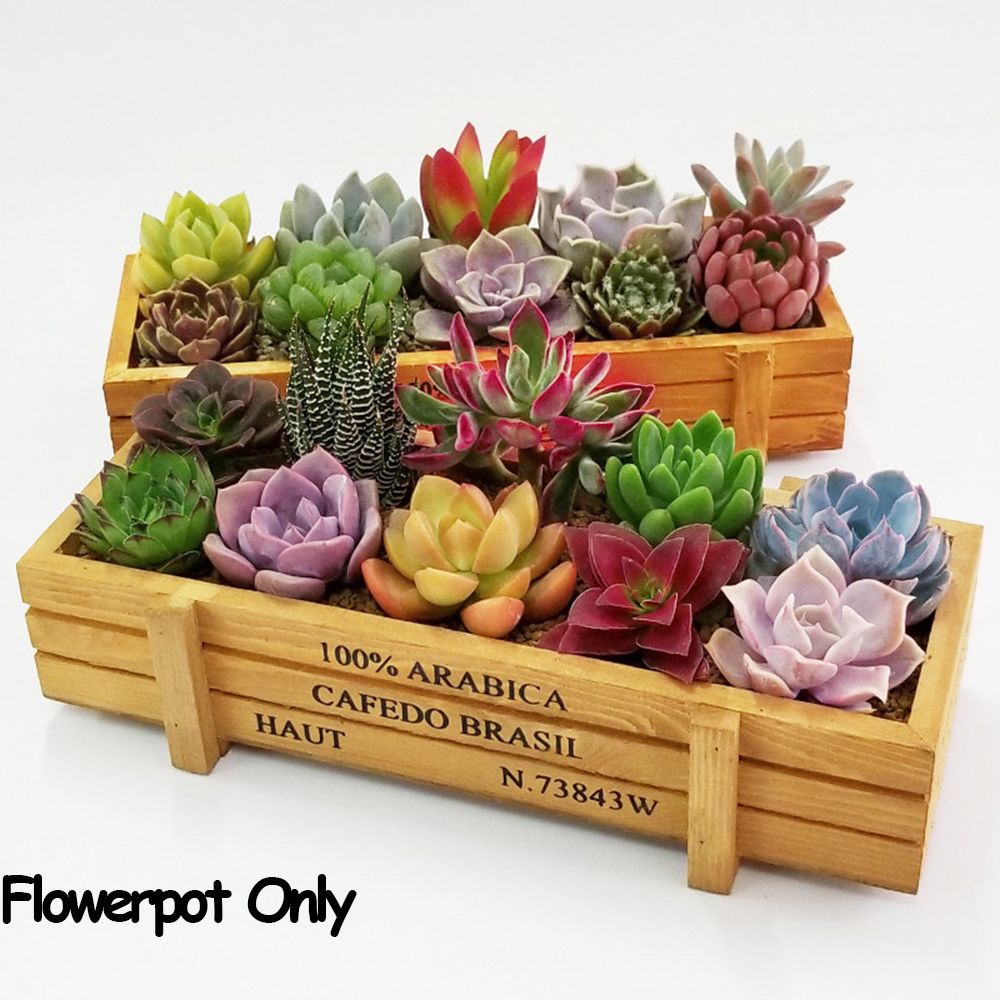 Gardening Tools Organiser - صناديق عصارية مستطيلية مزخرفة ، صناديق