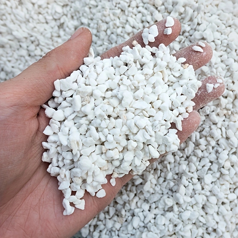 Horticulture Soil Perlite - عبوة واحدة من البيرلايت الزراعي 3-6