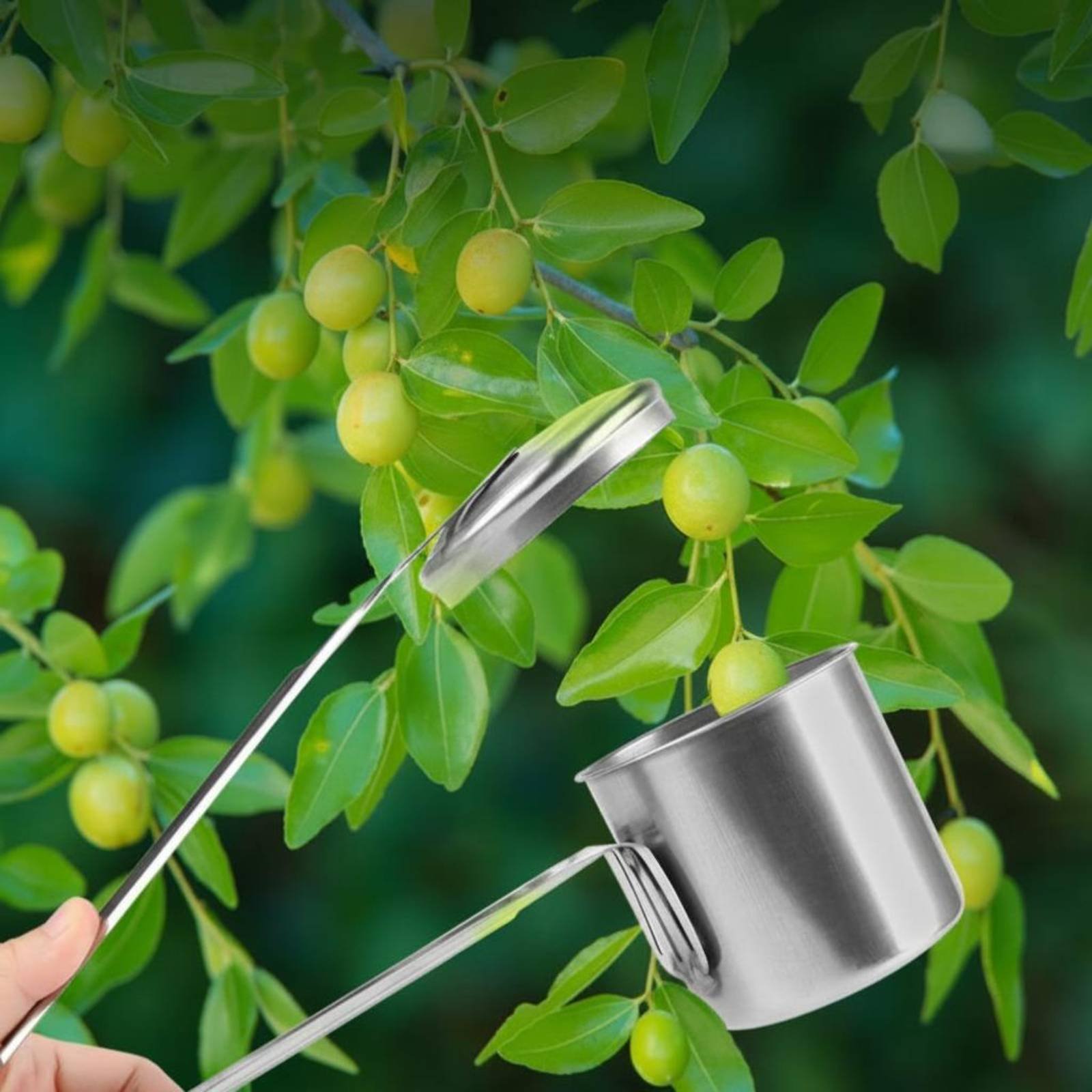 Gardening Tools Uses - أداة التقاط الفاكهة من الفولاذ المقاوم