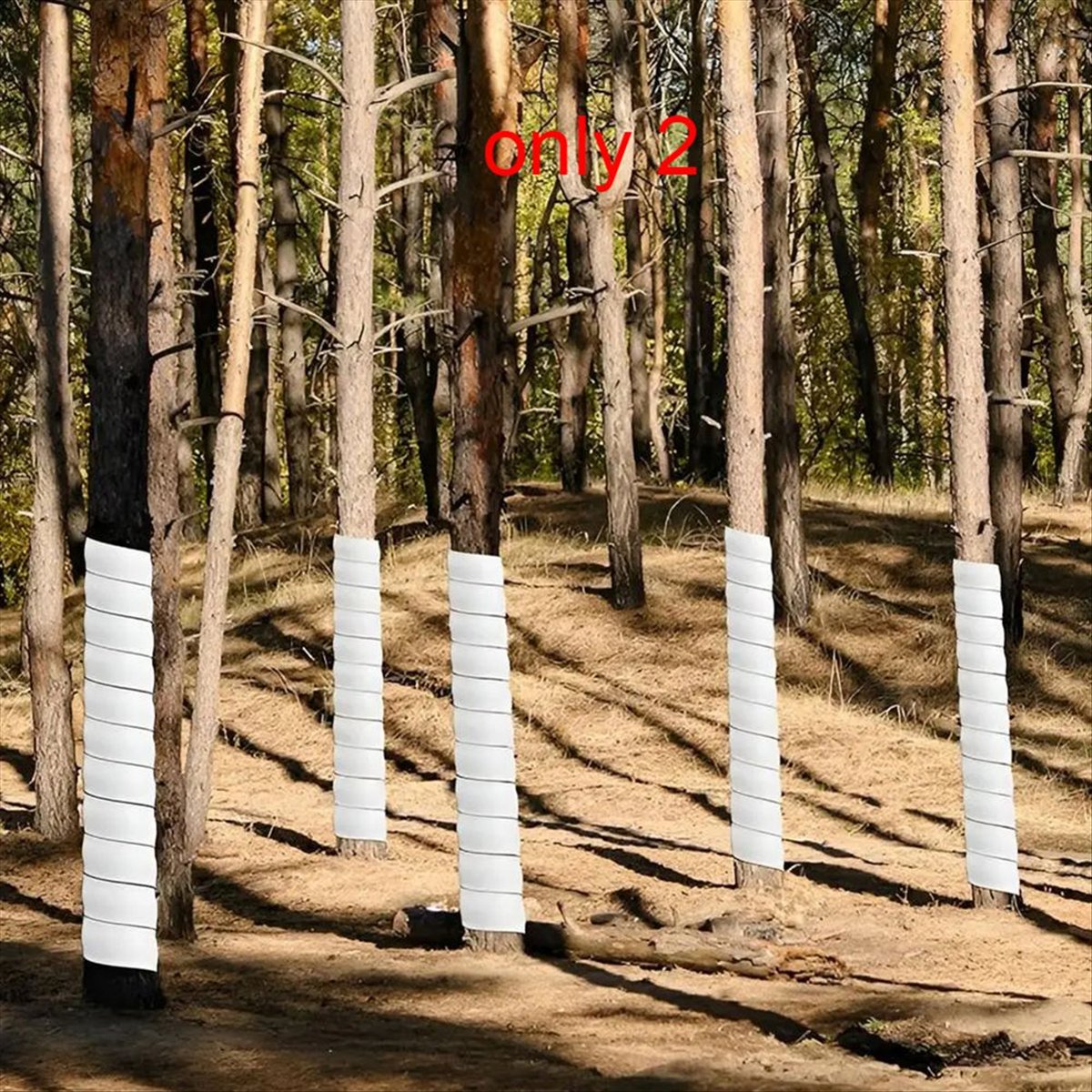 واقي جذع النبات A75K، غطاء بلا - مراجعة Gardening Hand Tools B&Q وسعره