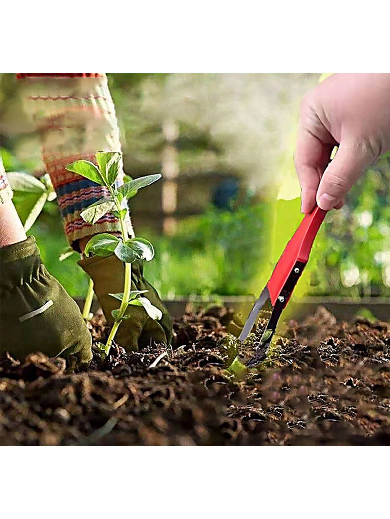 أداة يدوية متينة من البلاستيك  - مراجعة Weed Puller وسعره