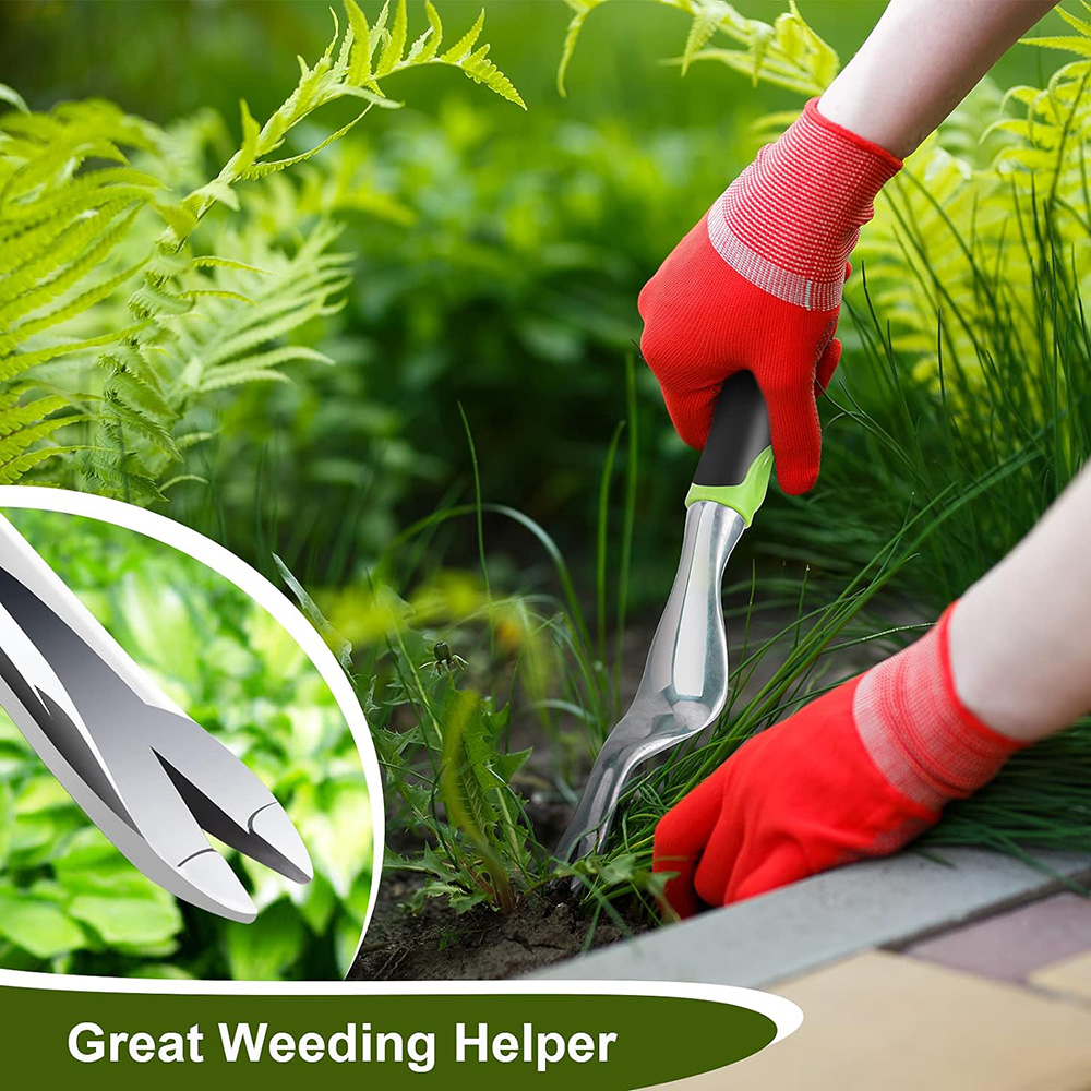 أداة إزالة الأعشاب الضارة اليد - مراجعة Weed Puller وسعره