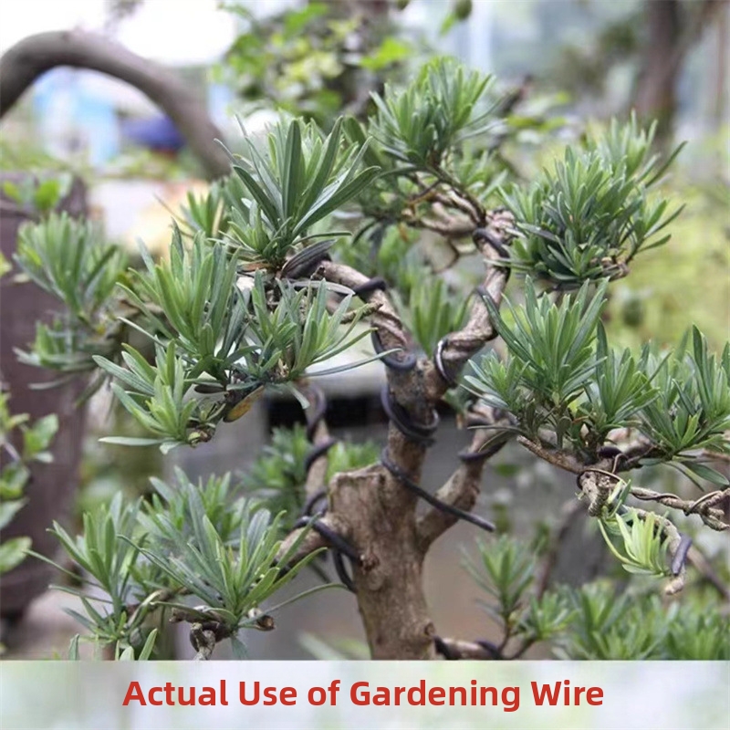 أسلاك بونساي من الألومنيوم بسم - مراجعة Gardening Tools Uses وسعره