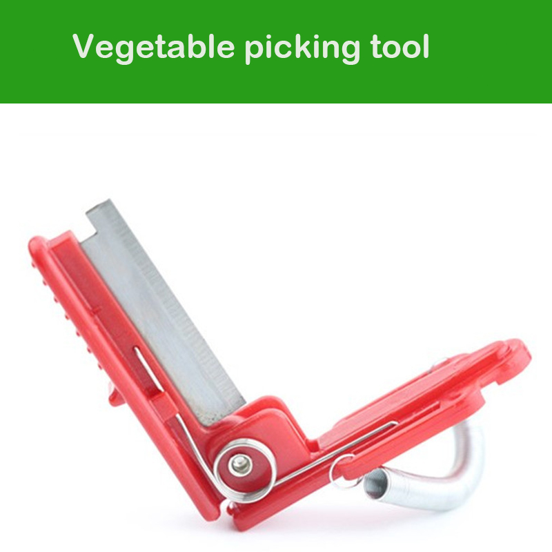 سكين فاصل الخضار حصاد الفاكهة  - مراجعة Gardening Tools Youtube وسعره