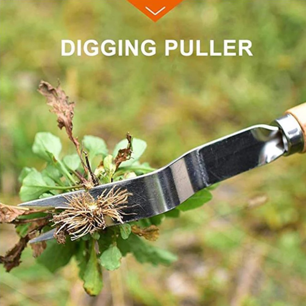 أعشاب حديقة من الفولاذ المقاوم - مراجعة Weed Puller وسعره