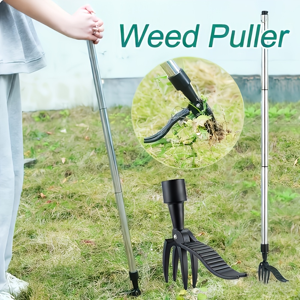 أداة إزالة الأعشاب الضارة العم - مراجعة Weed Puller وسعره