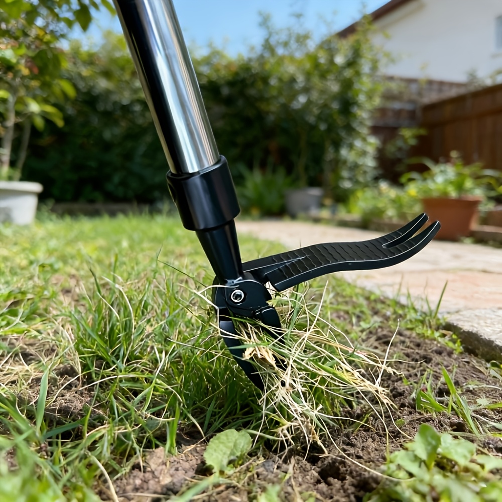 أداة إزالة الأعشاب الضارة العم - مراجعة Weed Puller وسعره
