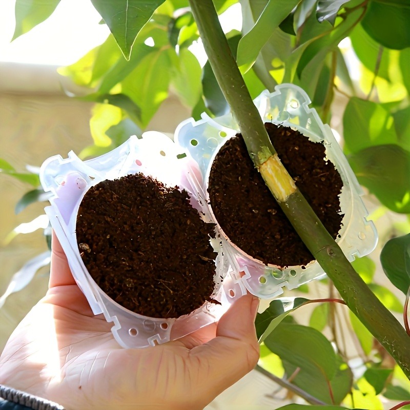 10 قطع من أدوات تكاثر النباتات - مراجعة Gardening Tools Uses وسعره