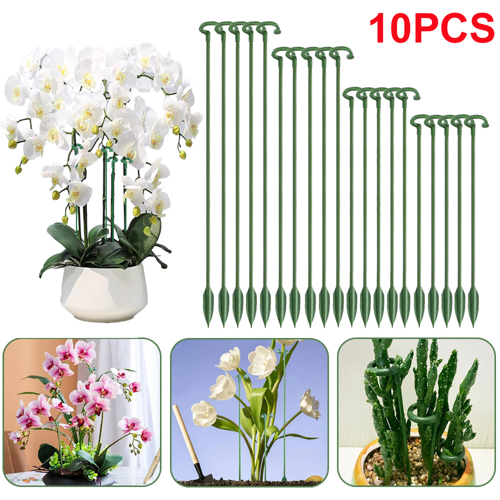5/10 قطع من دعامات النباتات، ح - مراجعة Gardening Tools Holder وسعره