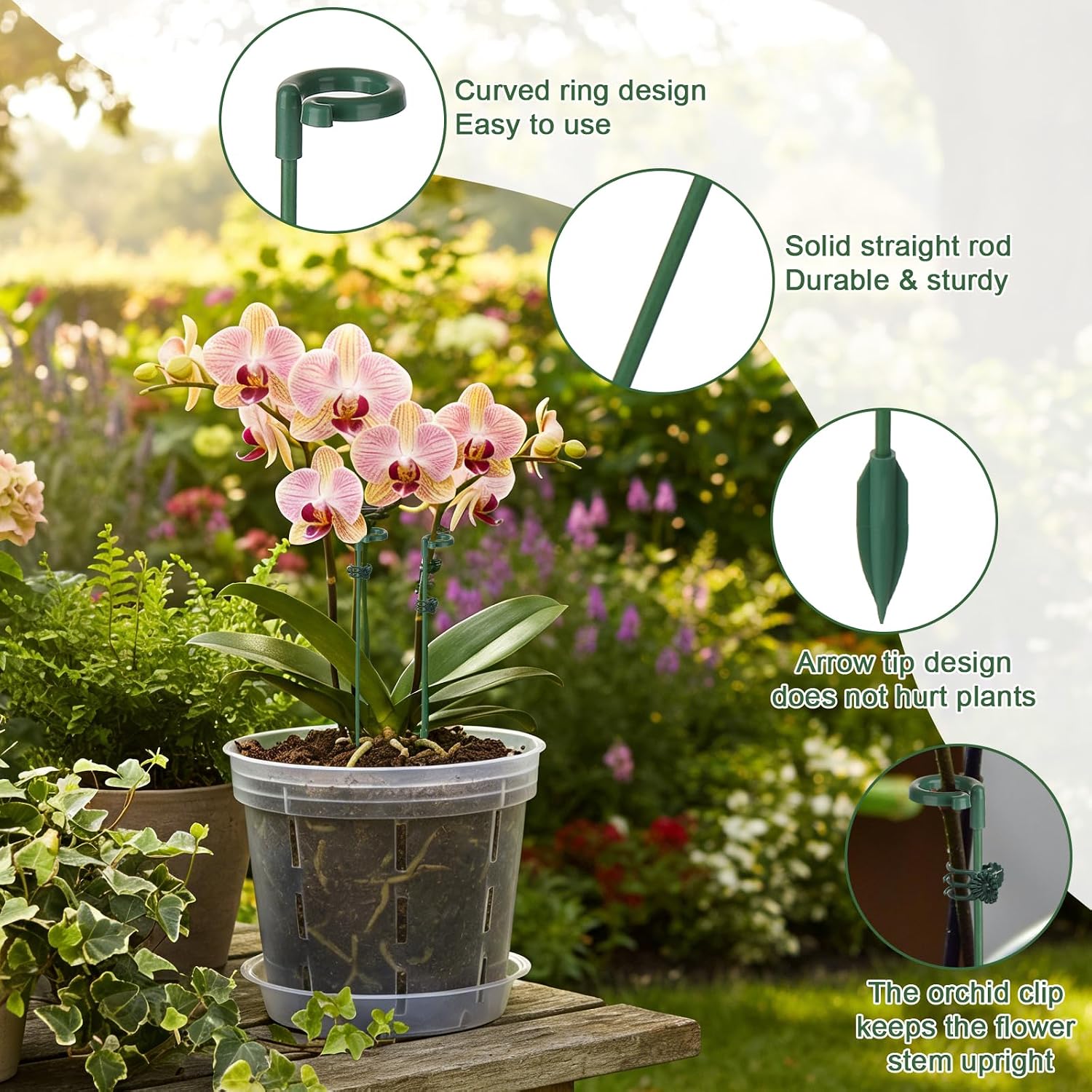 5/10 قطع من دعامات النباتات، ح - مراجعة Gardening Tools Holder وسعره