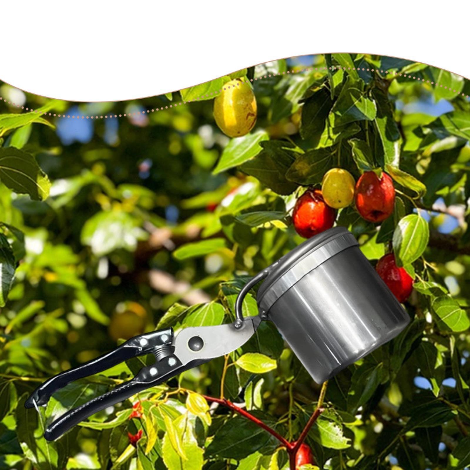 منتقي الفاكهة، أداة البستنة ال - مراجعة Gardening Tools Uses وسعره