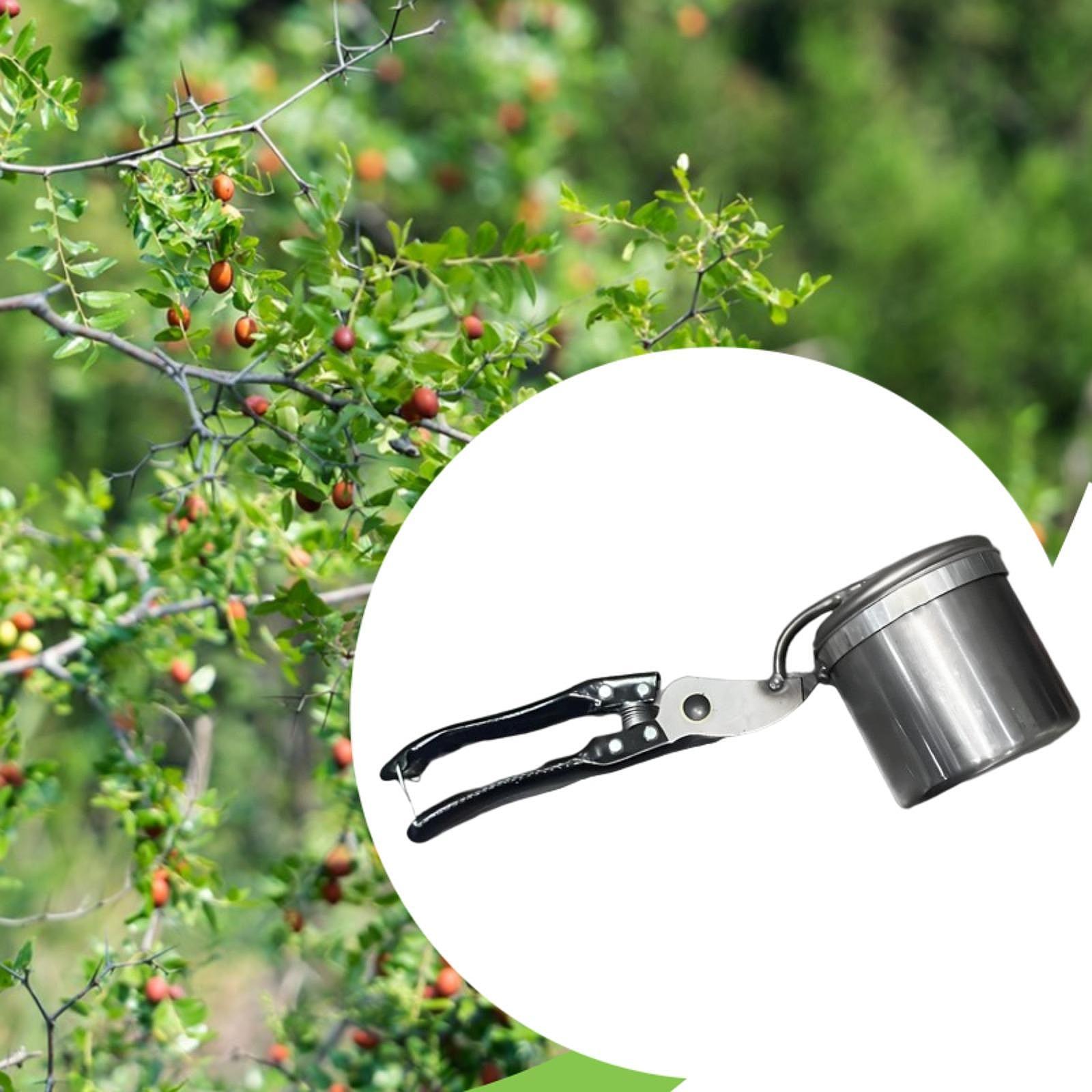 منتقي الفاكهة، أداة البستنة ال - مراجعة Gardening Tools Uses وسعره
