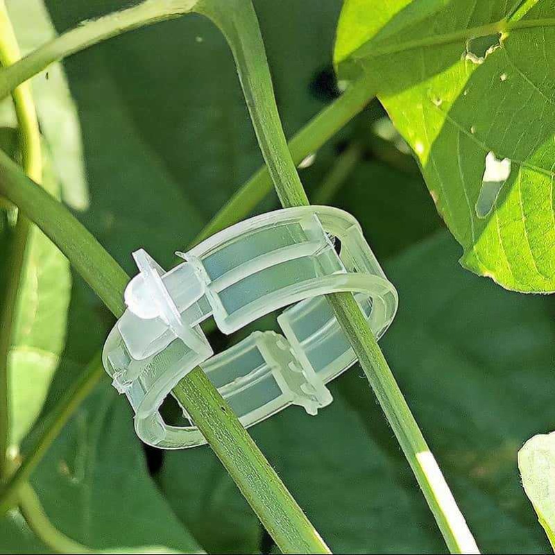 300/50 قطعة مشابك دعم النباتات - مراجعة Gardening Tools Holder وسعره